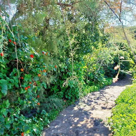 El Jaral בית כפרי *